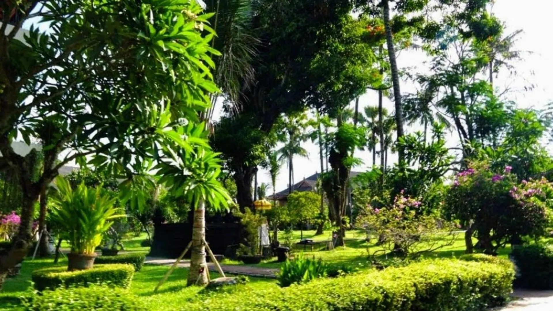 Apart-hotel Suite Hotel Apartment Legian By Rcp Seminyak